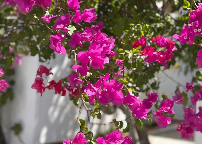 La Casa De Casa Estrela 別荘 ローレ