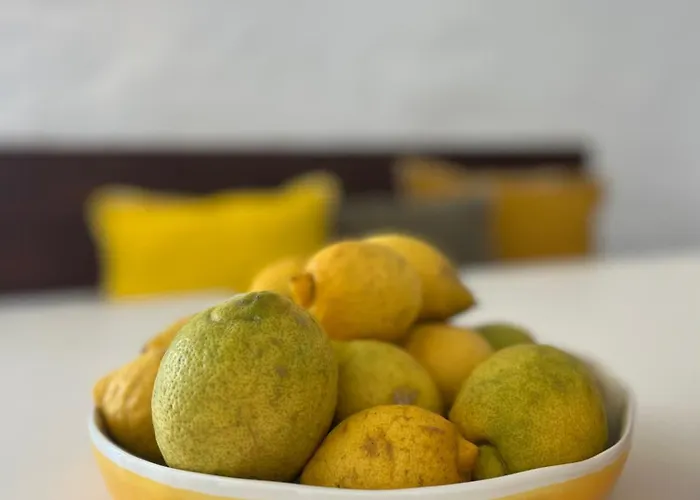 La Casa De Casa Estrela 別荘