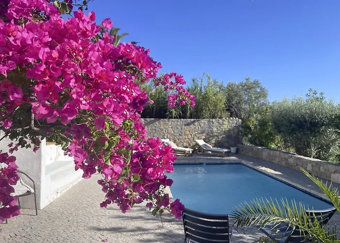 別荘 La Casa De Casa Estrela *