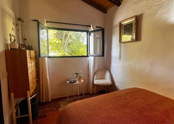 La Casa De Casa Estrela ローレ